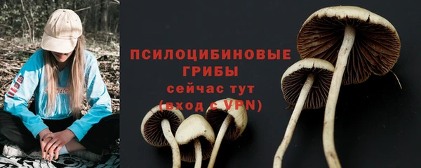 не бодяженный Абинск